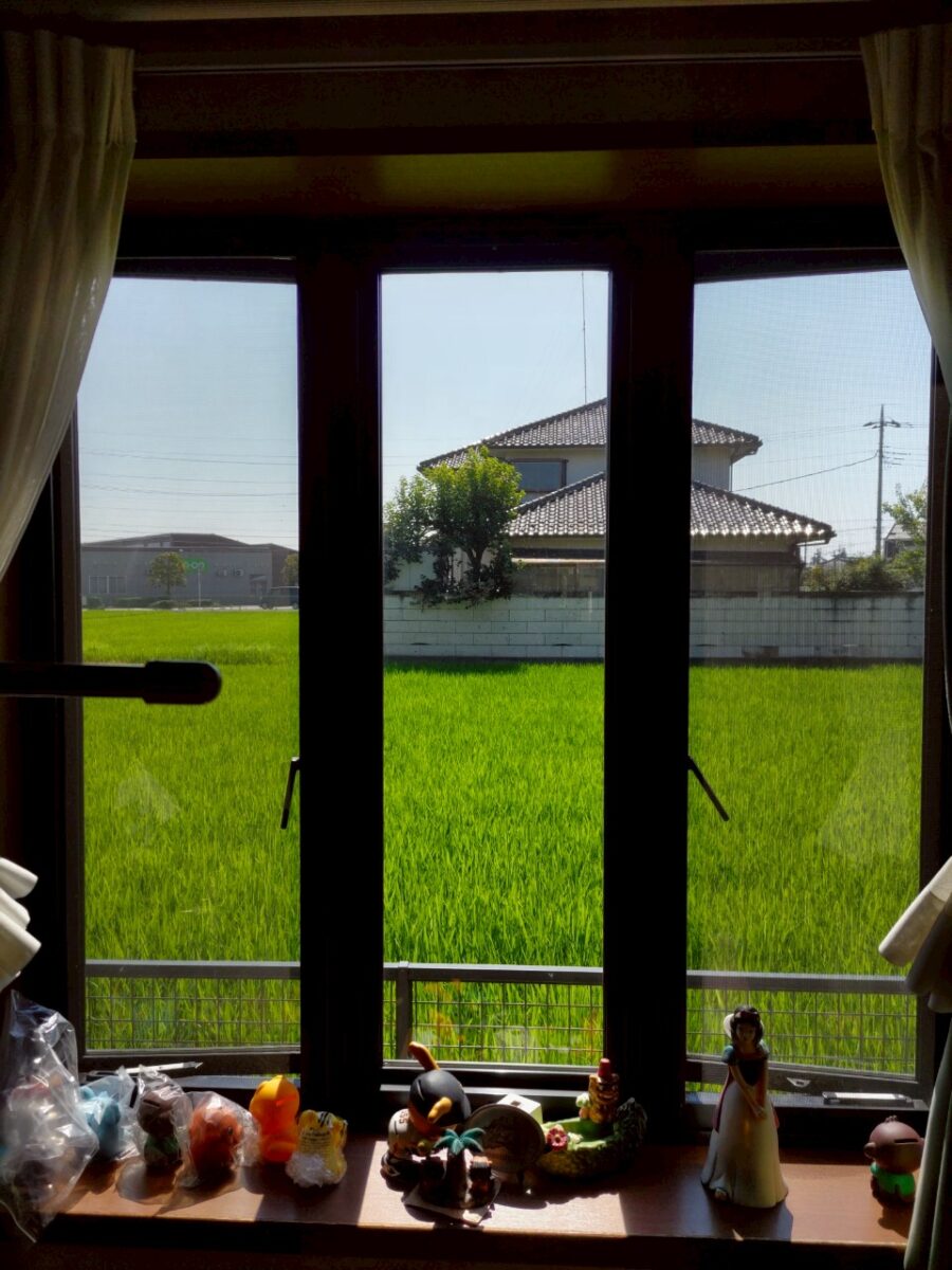 内窓と真空ガラスを使い分けて、賢く窓リフォーム！